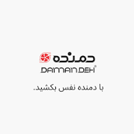 شرکت دمنده